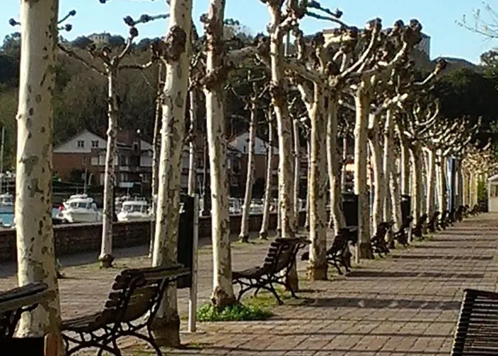 Casa De Marinos Uribekosta 招待所 2*